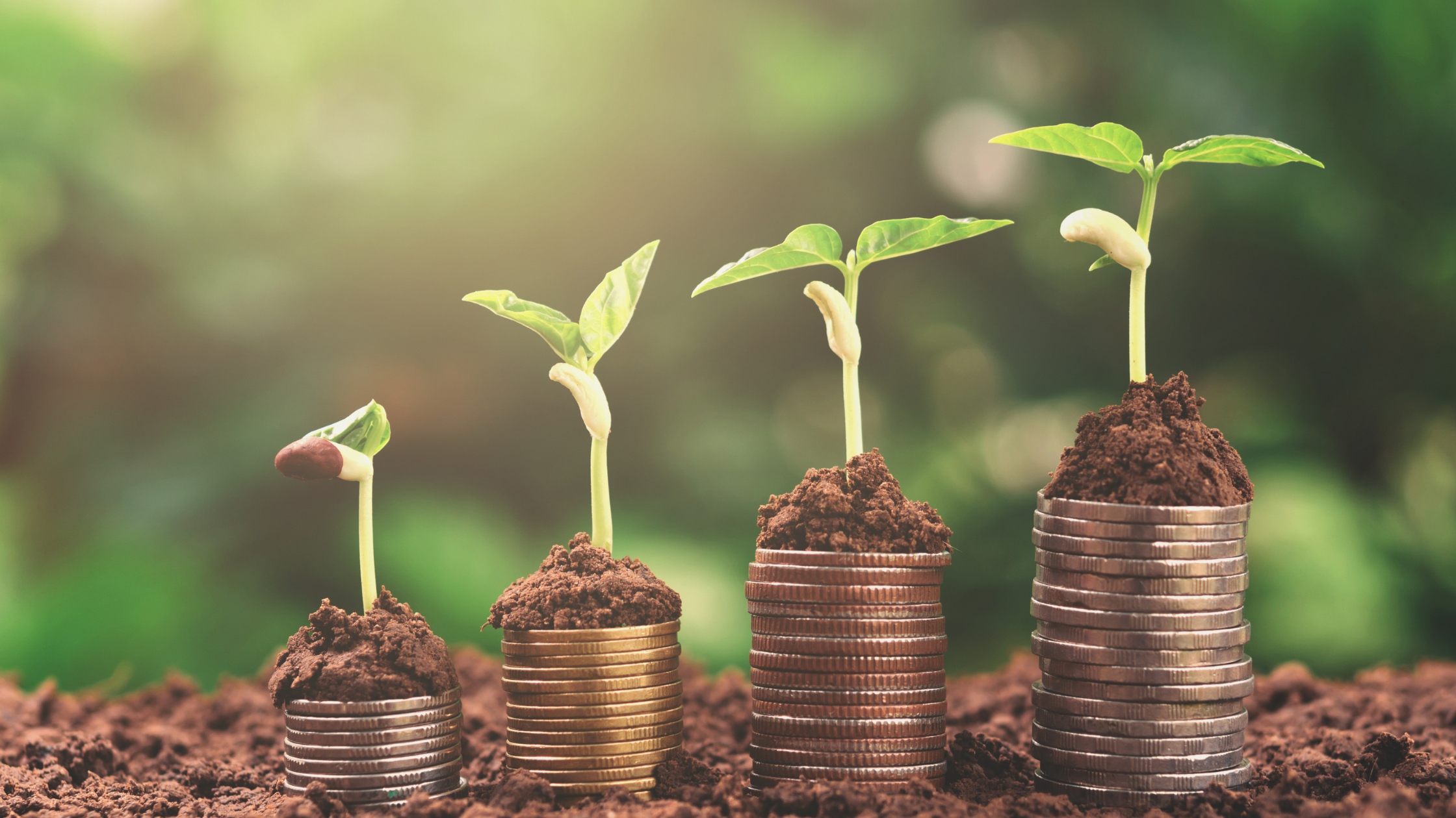 green finance