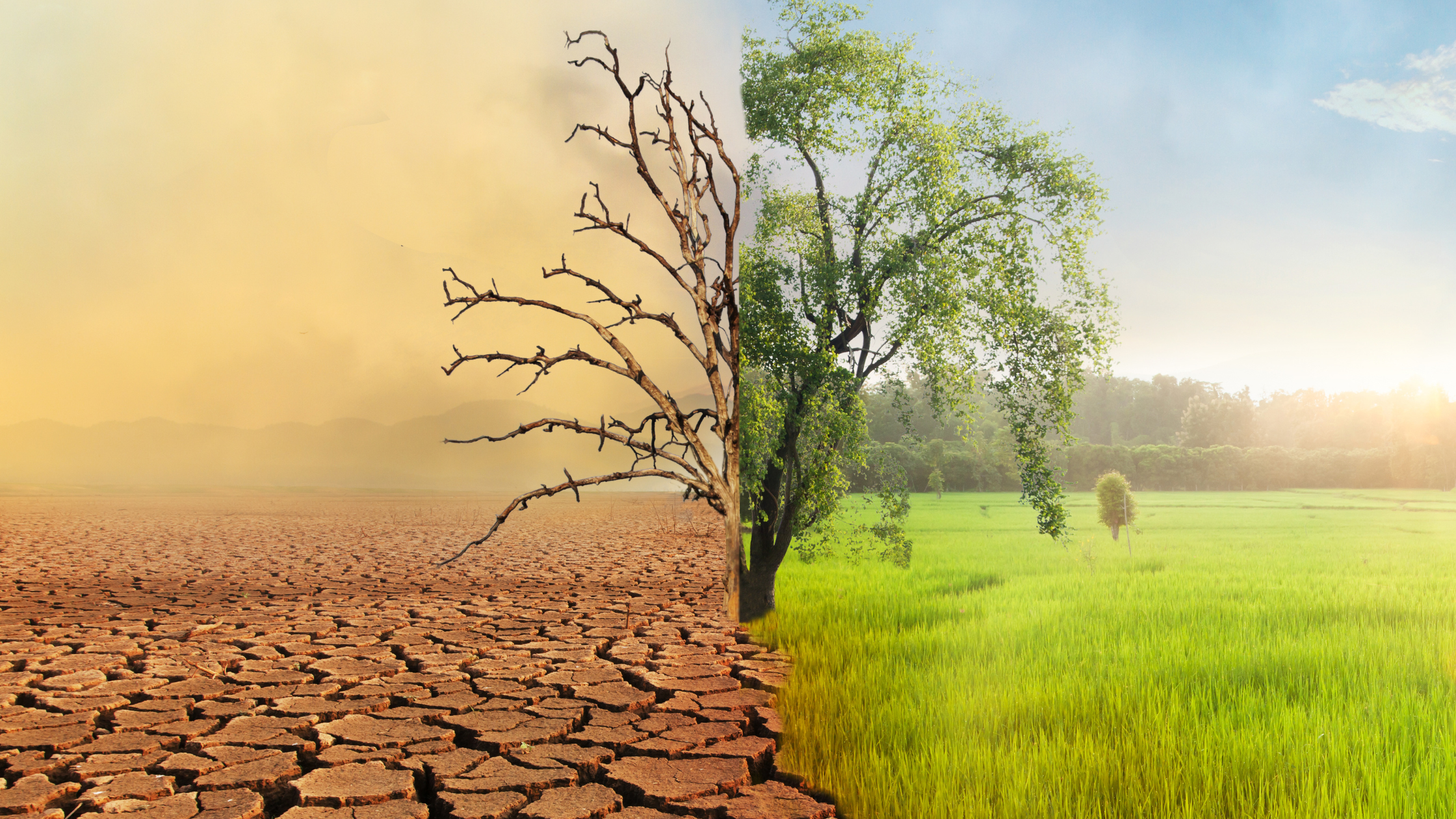 climate change Africa