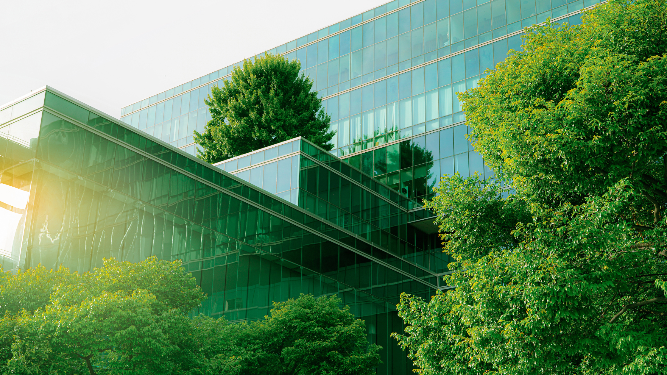 Environmental Social Governance