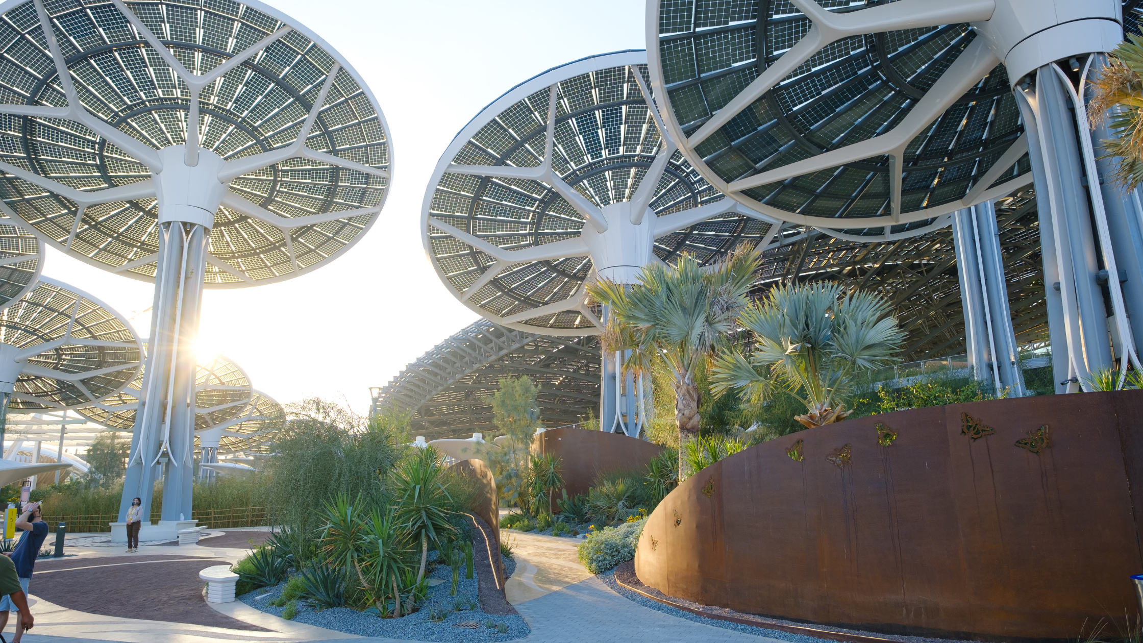 UAE Sustainability