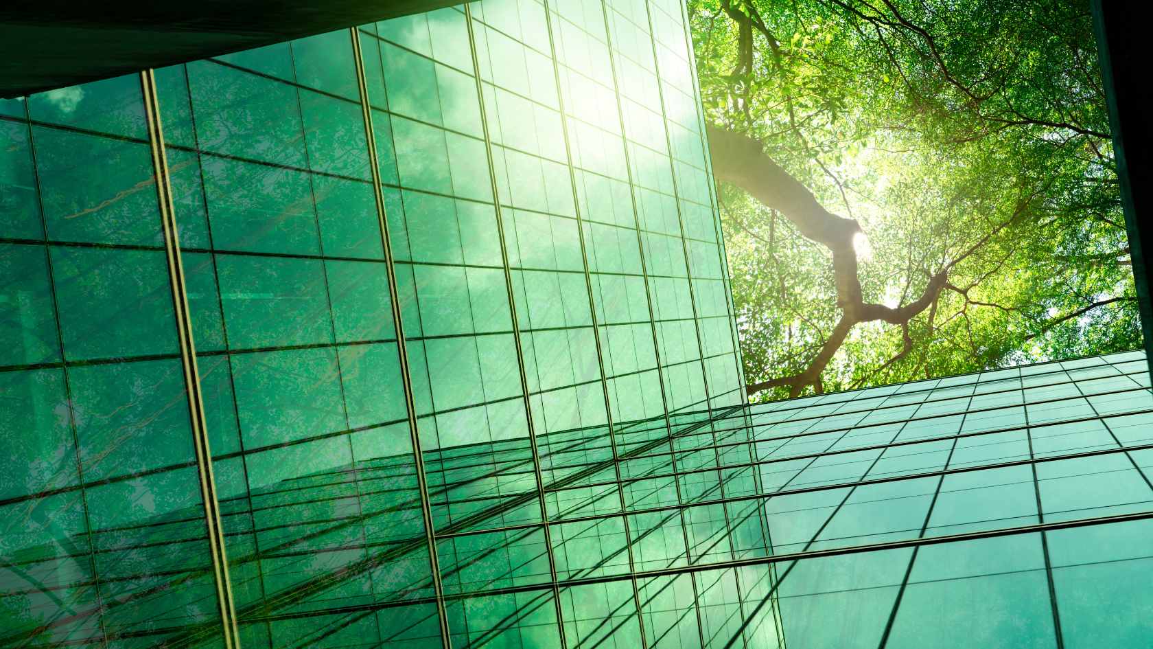 Sustainability Africa